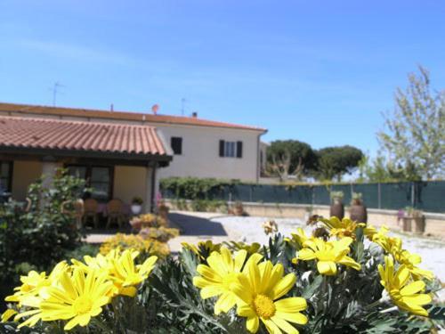 Agriturismo Podere San Michele San Vincenzo Exterior foto